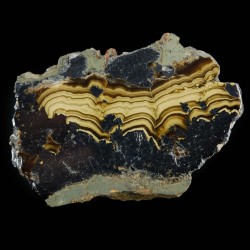 Schalenblende