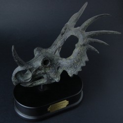 Styracosaurus schedel
