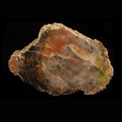 Schilderia
