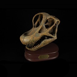 Brachiosaurus