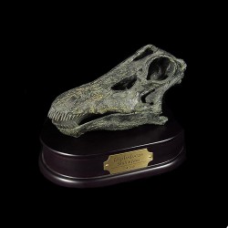 Diplodocus