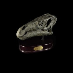 Iguanodon
