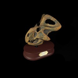 Protoceratop schedel