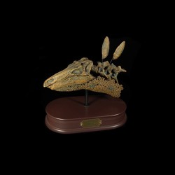 Stegosaurus schedel