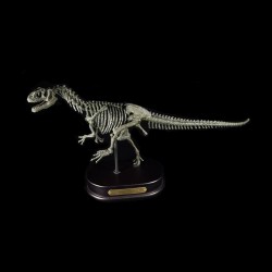 Allosaurus