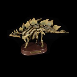 Stegosaurus