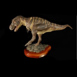 Tyrannosaurus