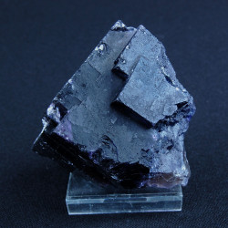 violet-fluoriet