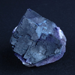violet-fluoriet