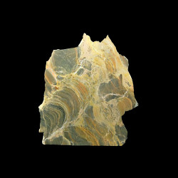 Stromatolieten