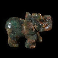 Olifant australisch Ryoliet