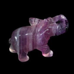Olifant fluoriet