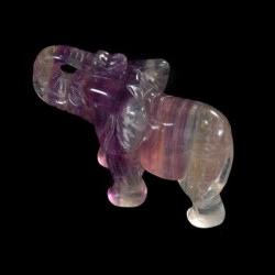 Olifant fluoriet