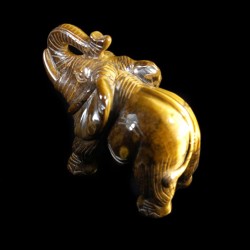 Olifant tijgeroog
