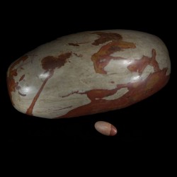 Shiva Lingam of Kosmisch ei