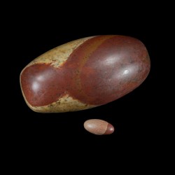 Shiva Lingam of Kosmisch ei