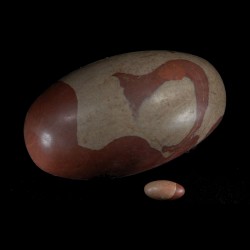 Shiva Lingam of Kosmisch ei